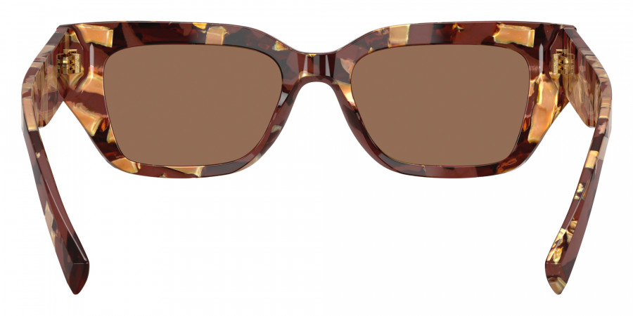 Color: Pearl Havana Brown (346273) - DOLCE & GABBANA DG446234627352