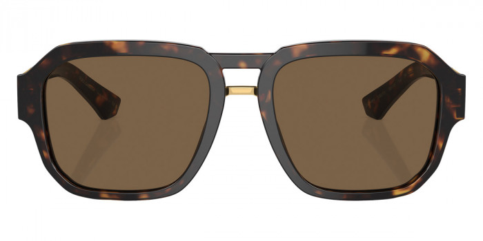 DOLCE & GABBANA™ DG4464 502/73 56 - Havana