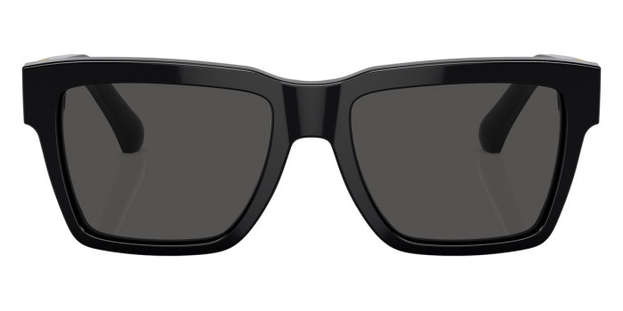 DOLCE & GABBANA™ DG4465 501/87 55 - Black