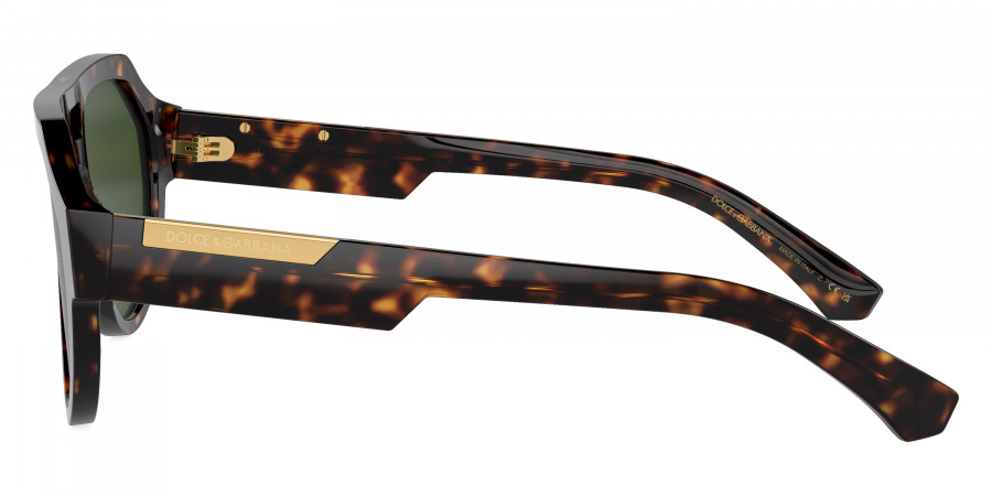 Dolce & Gabbana™ - DG4466F
