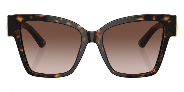 DOLCE & GABBANA™ DG4470F 502/13 54 - Havana