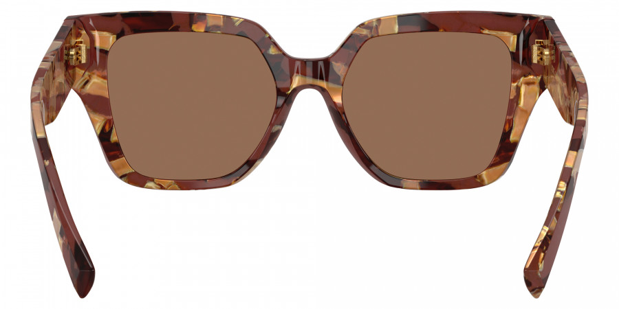 Color: Pearl Havana Brown (346273) - DOLCE & GABBANA DG447134627352