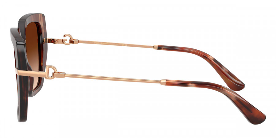 Color: Havana/Rose Gold (322274) - Dolce & Gabbana DG447432227453