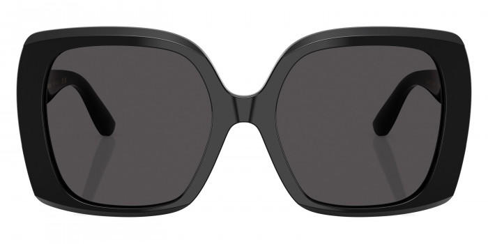 DOLCE & GABBANA™ DG4475 501/87 56 - Black