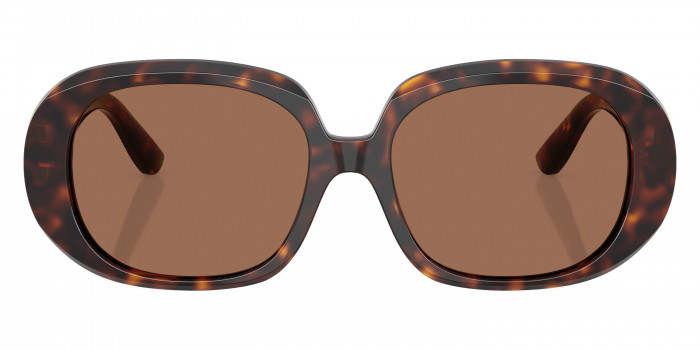 DOLCE & GABBANA™ DG4476 502/73 56 - Havana