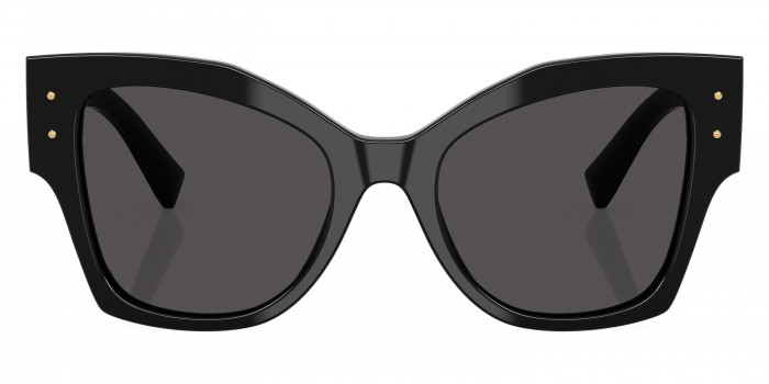 DOLCE & GABBANA™ DG4478 501/87 53 - Black