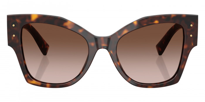 DOLCE & GABBANA™ DG4478 502/13 53 - Havana