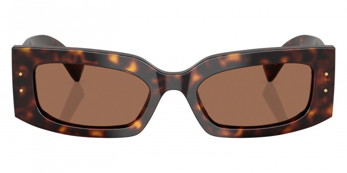 DOLCE & GABBANA™ DG4479F 502/73 55 - Havana