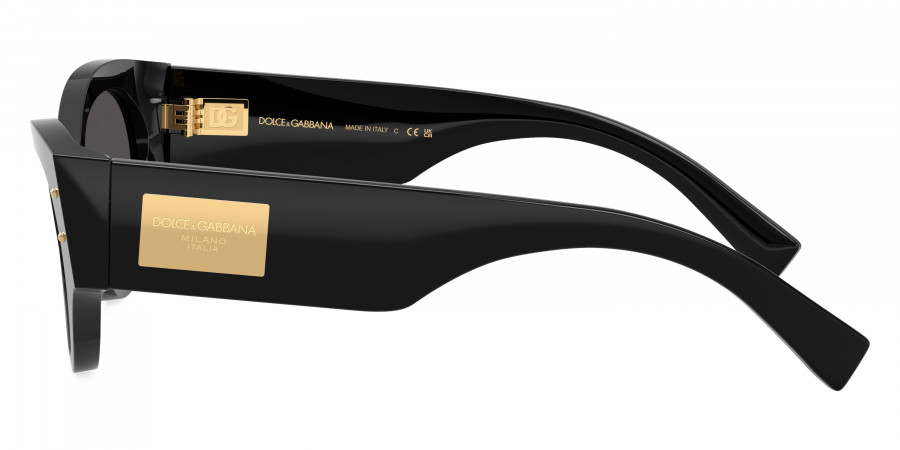 Dolce & Gabbana™ - DG4480F