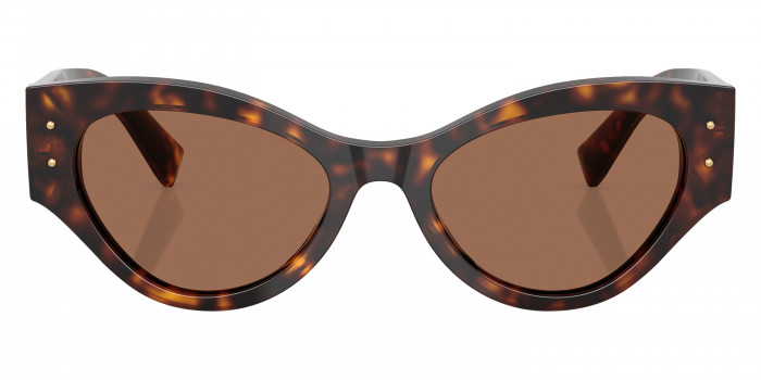 DOLCE & GABBANA™ DG4480F 502/73 53 - Havana