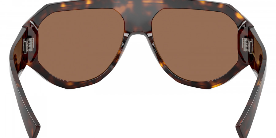 Dolce & Gabbana™ - DG4481F