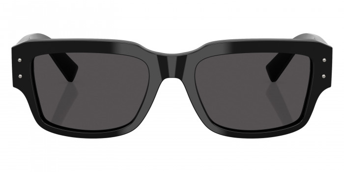 DOLCE & GABBANA™ DG4483 501/87 54 - Black