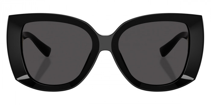 DOLCE & GABBANA™ DG4495 501/87 56 - Black