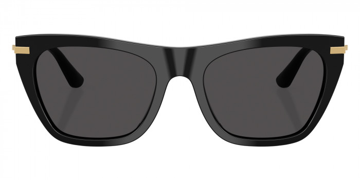 DOLCE & GABBANA™ DG4511 501/87 55 - Black