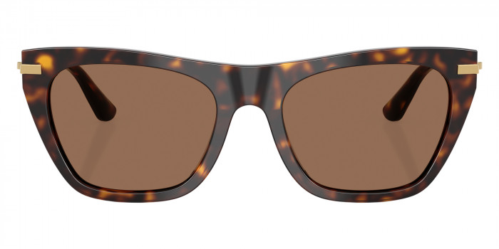 DOLCE & GABBANA™ DG4511 502/73 55 - Havana