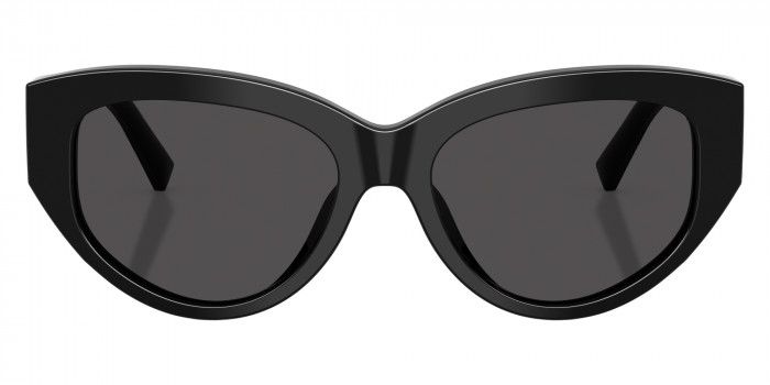 DOLCE & GABBANA™ DG4514 501/87 55 - Black