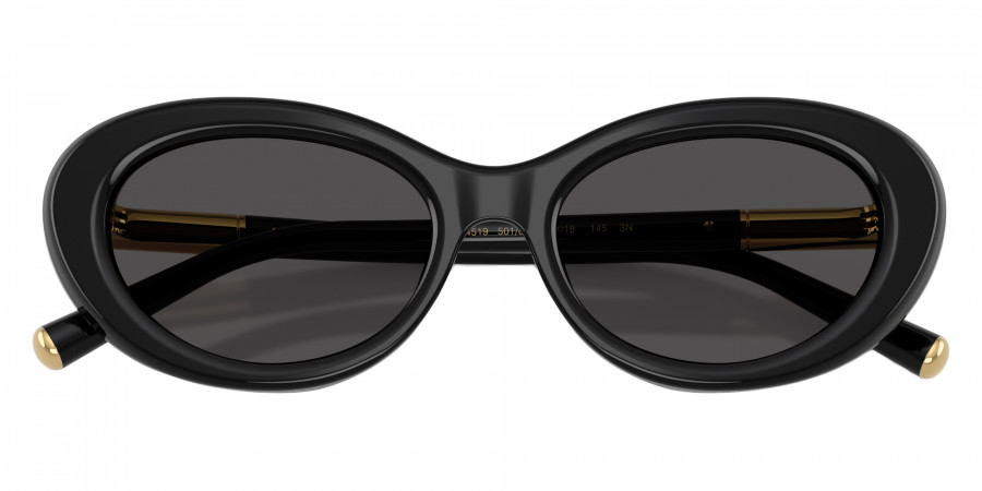 DOLCE & GABBANA™ - DG4519