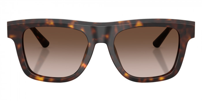 DOLCE & GABBANA™ DG4521 502/13 52 - Havana