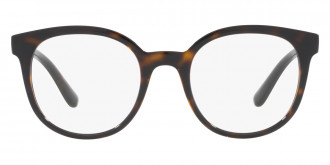 Color: Havana (502) - Dolce & Gabbana DG508350249