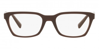 Color: Tobacco (3295) - Dolce & Gabbana DG5088329553