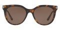 Havana / Brown