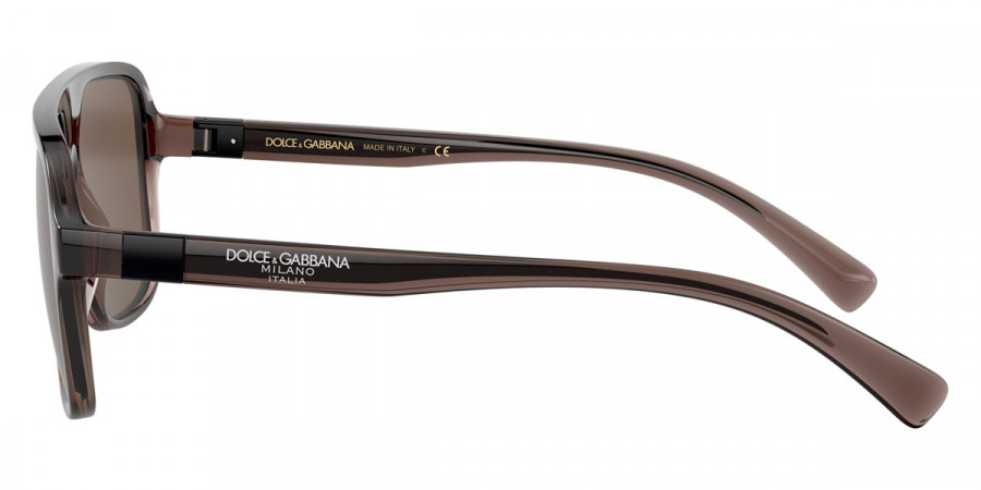 Color: Transparent Brown/Black (325973) - Dolce & Gabbana DG613432597357