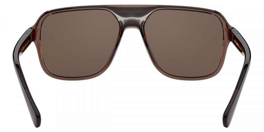 Color: Transparent Brown/Black (325973) - Dolce & Gabbana DG613432597357