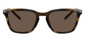 Havana / Brown Gradient Dark Brown