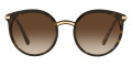 Havana / Gradient Brown