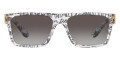 Transparent Graffiti / Light Gray Gradient Black