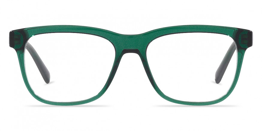 Dolce & Gabbana™ DX3356 3008 49 - Transparent Green