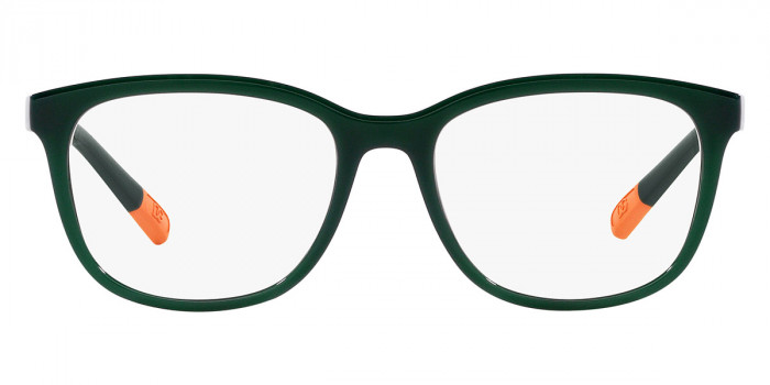 DOLCE & GABBANA™ DX5094 3068 48 - Opal Green