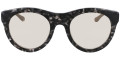 Black Tortoise