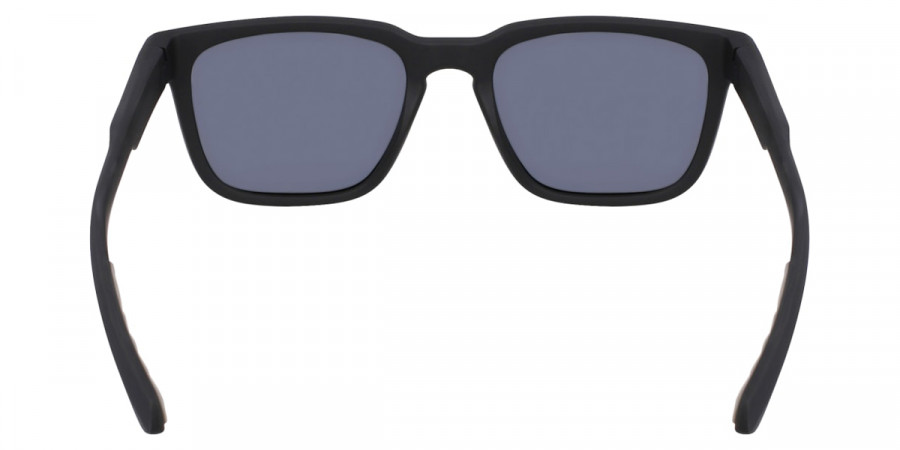 Dragon™ - DR BEECH LL POLAR