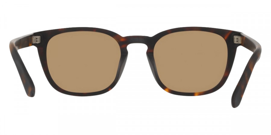 Dragon™ - DR GATSBY LL