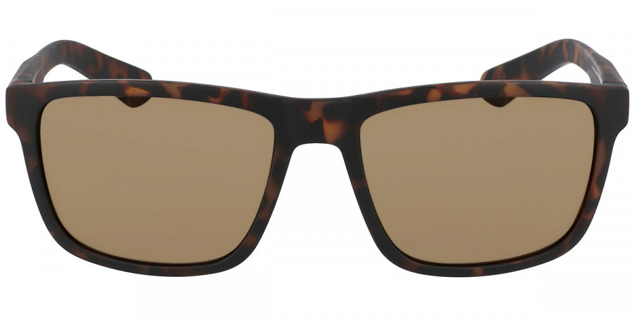 Dragon™ - DR Reed Ll