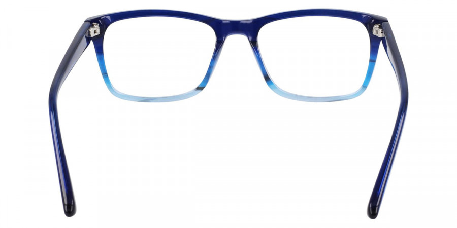 Dragon™ - DR2036