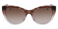 Brown Gradient