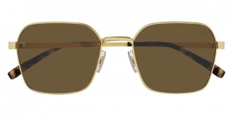 Color: Gold (008) - Dunhill DU0036S00858