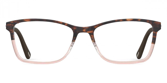 Emozioni™ EM 4059 0ONS 50 - Havana Nude