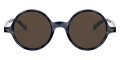 Shiny Striped Blue / Brown