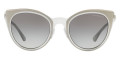 Silver / Gray Gradient