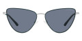 Silver / Gray