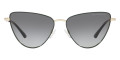 Pale Gold / Gradient Gray