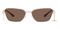 Shiny Pale Gold / Dark Brown