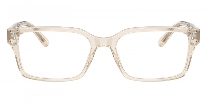 EMPORIO ARMANI™ EA3244 6179 53 - Iridescent Crystal