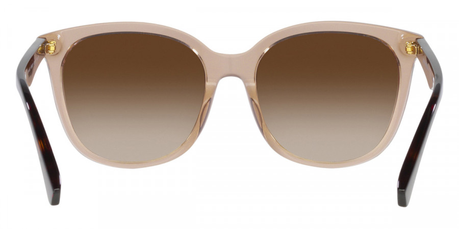 Color: Shiny Transparent Tundra (585013) - Emporio Armani EA415758501355