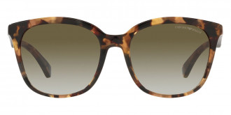 Color: Havana Gray (58618E) - Emporio Armani EA415758618E55