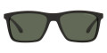 Black / Dark Green