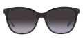 Black / Gradient Gray